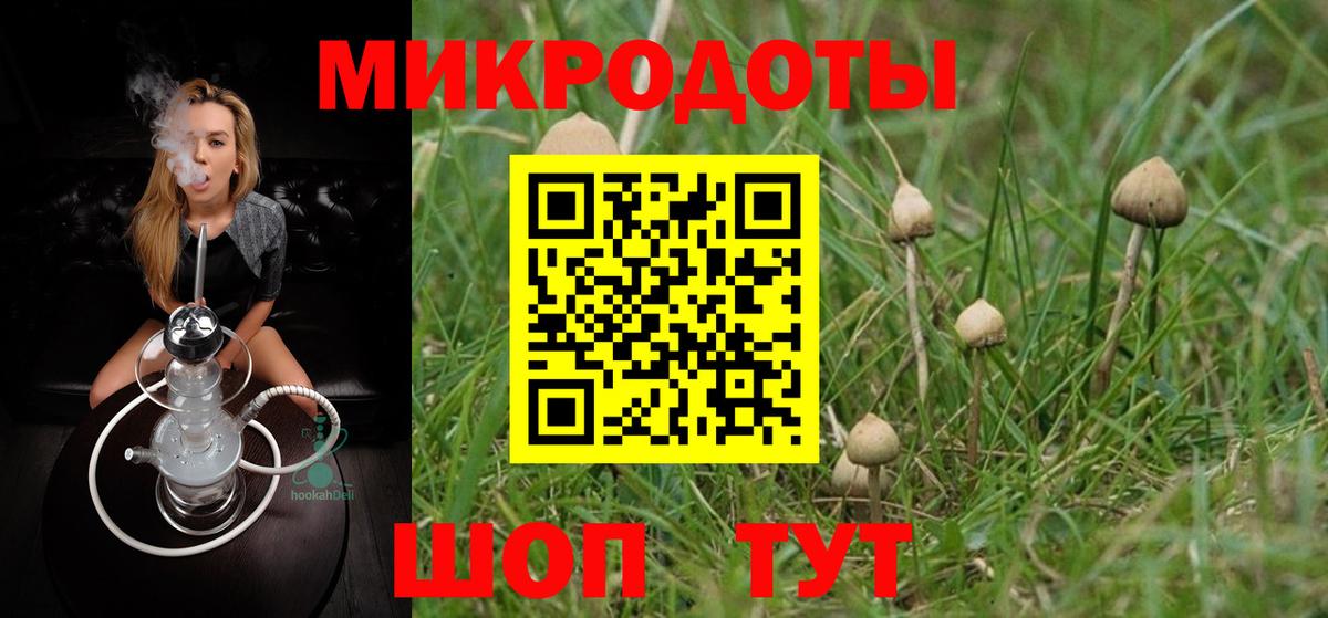Псилоцибиновые грибы Cubensis Анжеро-Судженск