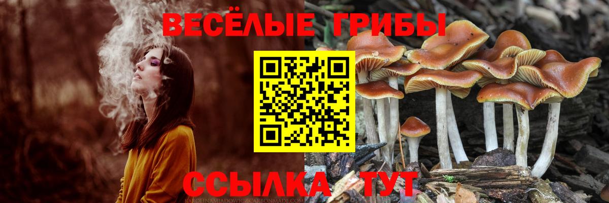 Галлюциногенные грибы Magic Shrooms  Вход с VPN  Анжеро-Судженск 